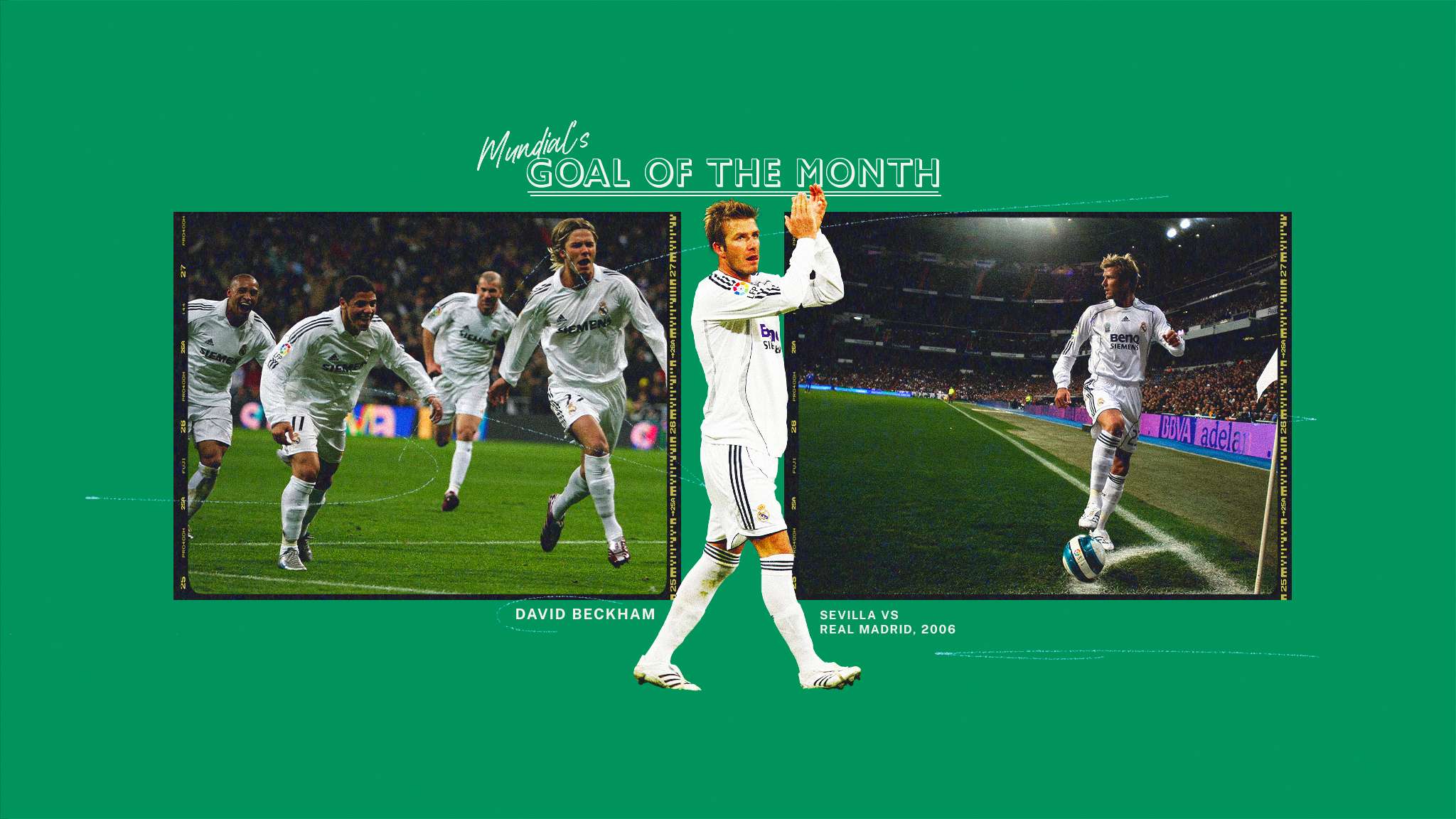 我们将全面 我们将全面